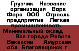 Грузчик › Название организации ­ Ворк Форс, ООО › Отрасль предприятия ­ Легкая промышленность › Минимальный оклад ­ 24 000 - Все города Работа » Вакансии   . Амурская обл.,Благовещенск г.